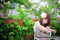 女性喝的美容养颜茶是什么牌子 女性喝的美容养颜茶是什么茶叶