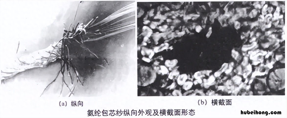 氨纶的染色温度 氨纶的染色温度是多少