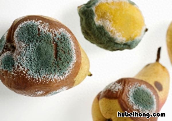 居家除湿妙招 家里除霉菌的方法