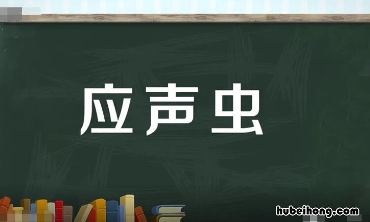 应声虫指哪类人 应声虫是指的哪一类人