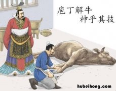 庖丁解牛的意思是什么 庖丁解牛什么意思,哲学的观点是