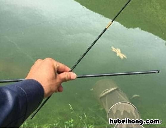 钓多了鱼会不顺 钓鱼太多会不会有恶报