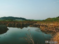 怎么判断水里有没有毒品成分 怎么判断水里有没有毒品成份