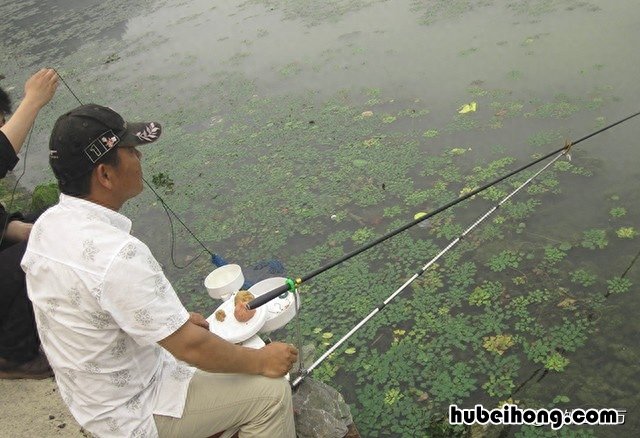 怎样知道水下有没有鱼苗 怎样知道水下有没有鱼网