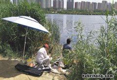 怎样知道水下有没有鱼苗 怎样知道水下有没有鱼网