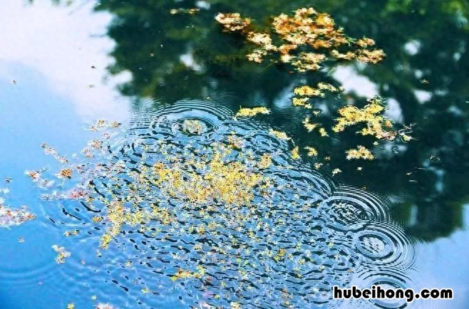 在家做糖炒栗子怎么做窍门 在家做糖炒栗子怎么做好吃
