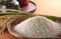 大米生虫子处理诀窍有哪些 大米里面生虫子怎么办