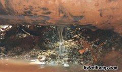 水管漏水的情况有哪些 水管漏水如何补救