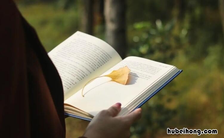 形容看书快的四字成语是什么 形容看书快的四字成语是什么