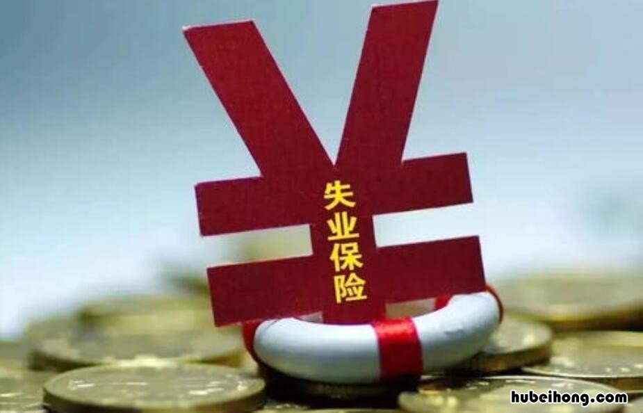 失业保险怎么查询个人账户 怎样查失业保险账户