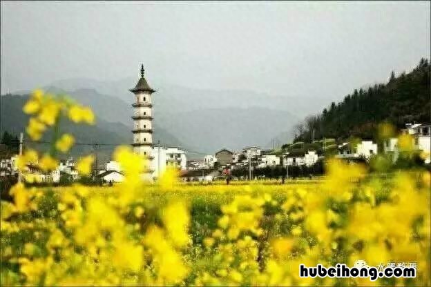 婺源站班车时间表 婺源县高铁站客运中心项目