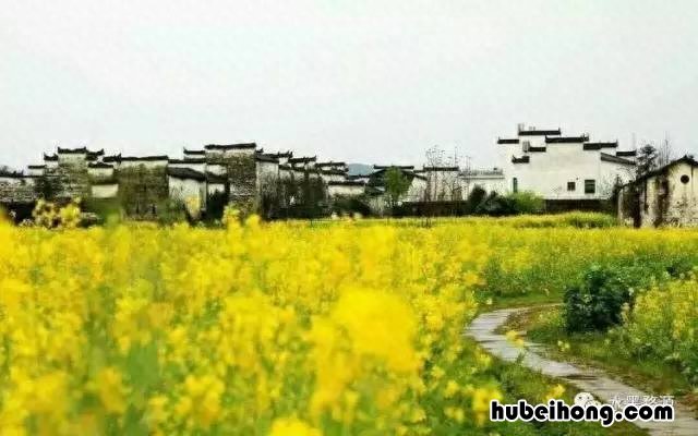婺源站班车时间表 婺源县高铁站客运中心项目