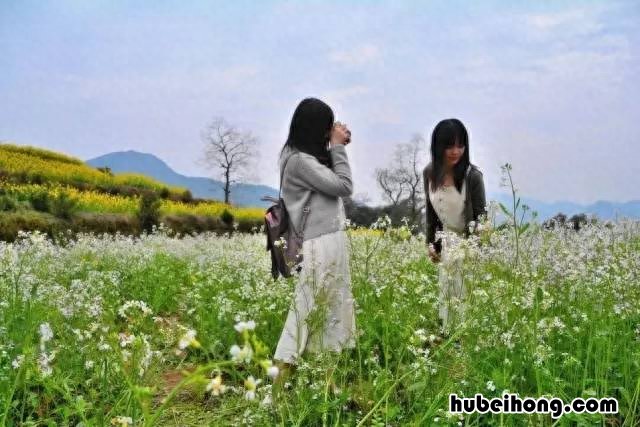 婺源站班车时间表 婺源县高铁站客运中心项目