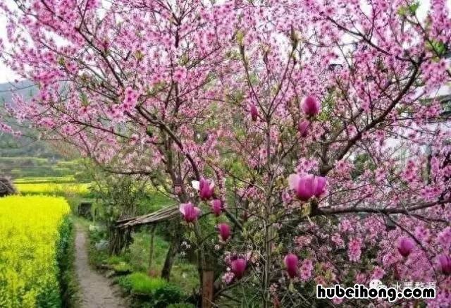 婺源站班车时间表 婺源县高铁站客运中心项目