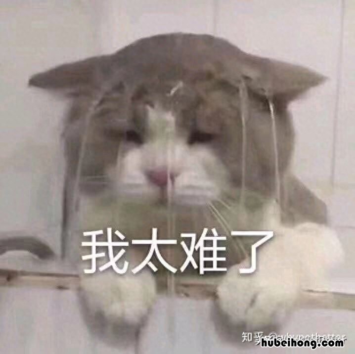 神农尝遍百草 神农尝百草的茶是什么茶类