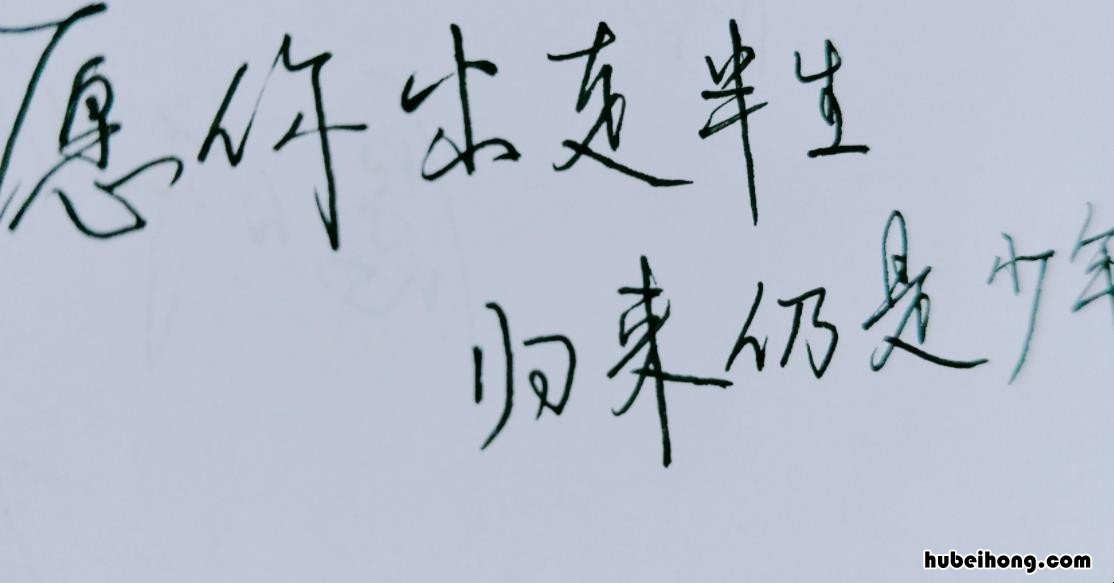 归来仍是少年的上一句是什么 愿你不负韶华,归来仍是少年歌曲