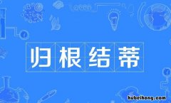 归根结蒂是什么意思 归根结蒂 释义