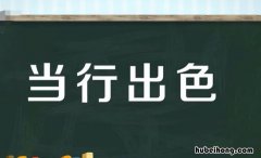 当行出色是什么意思 当行出色的拼音