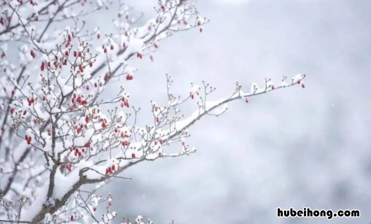 形容下雪的诗句有哪些 关于下雪的诗句和成语