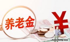 基本养老保险参保缴费凭证为什么重要 基本养老保险参保缴费凭证是什么样的
