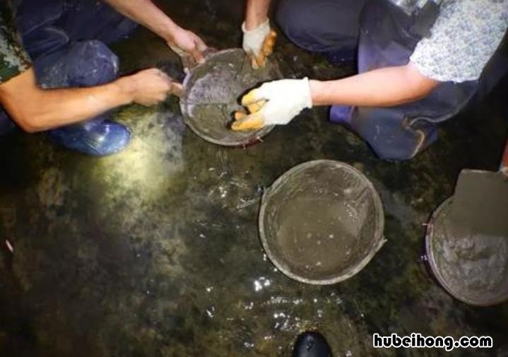 堵漏王使用需注意哪些 堵漏王怎样使用,堵漏王是怎么用的?