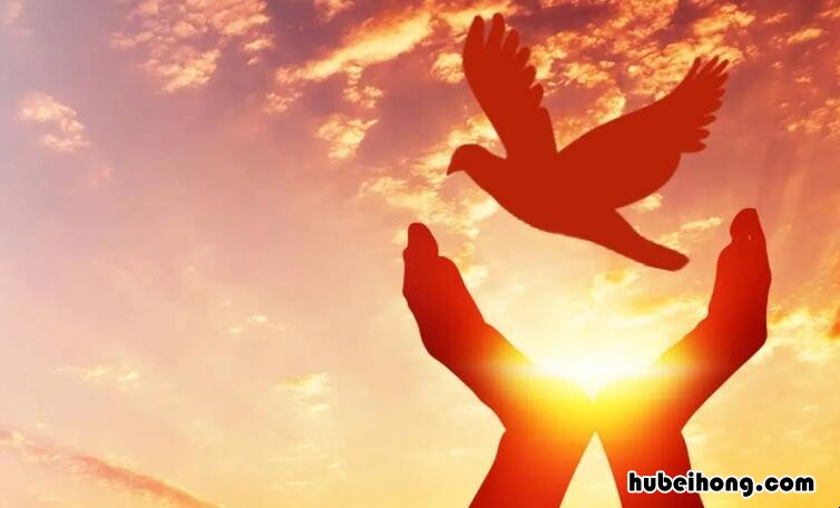 形容公益的成语有哪些 形容做公益的句子