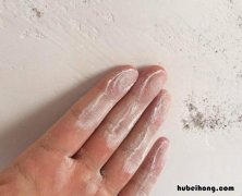墙面腻子粉选购技巧有哪些 墙面腻子的种类