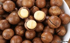 夏威夷果壳的用途是什么 夏威夷果壳可以做啥