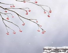 形容雪的诗句有哪些 不是形容雪的诗句有哪些