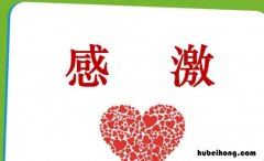 形容非常感激的成语有哪些 形容很感激的成语句子