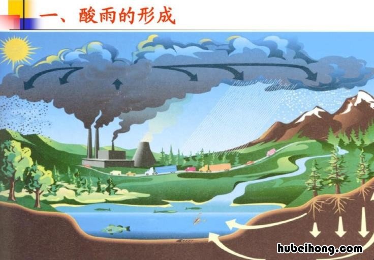 形成酸雨的主要气体是什么 形成酸雨的是哪种气体