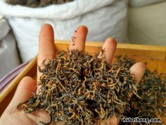 如何判断金骏眉是否变质 怎么看金骏眉有没有发霉