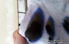如何去除衣服上墨汁渍 怎样祛除衣服上的墨汁