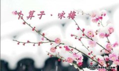 待到山花烂漫时下一句是什么 待到山花烂漫时,下句是什么