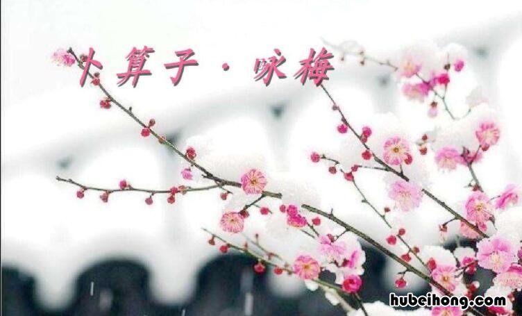 待到山花烂漫时下一句是什么 待到山花烂漫时,下句是什么