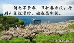待到山花烂漫时她在丛中笑的意思是什么 待到山花烂漫时她在丛中笑这句词的理解