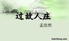 待到重阳日是什么意思 待到重阳日后面一句是什么