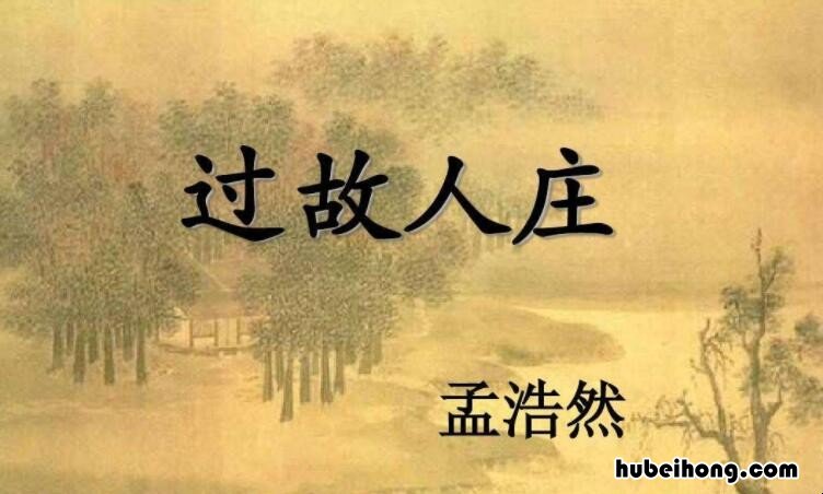 待到重阳日的全诗是什么 待到重阳日下面一句是什么
