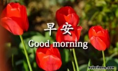 很甜很撩的早安句子有哪些 很甜很撩的早安句子有哪些