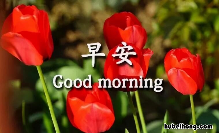 很甜很撩的早安句子有哪些 很甜很撩的早安句子有哪些