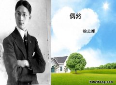 徐志摩《偶然》表达了诗人怎样的情感 徐志摩《偶然》所表达的爱情观