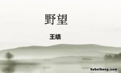 徙倚欲何依的上一句是什么 徙倚欲何依的徒怎么读