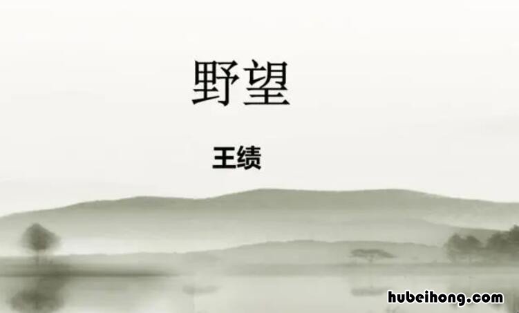 徙倚欲何依的上一句是什么 徙倚欲何依的徒怎么读