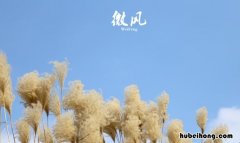 微风什么成语有哪些 微风啥啥四字成语