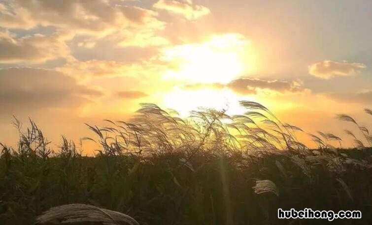 微风什么的成语有哪些 微风什么成语四字词语大全