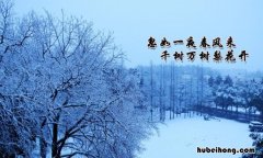 忽如一夜春风来千树万树梨花开出自哪首诗 忽如一夜春风来 千树万树梨花开 是哪一首诗