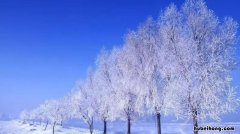 忽如一夜春风来描写什么季节 忽如一夜春风来描写什么季节