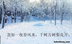 忽如一夜春风来整首诗是什么 忽如一夜春风来上一句是什么