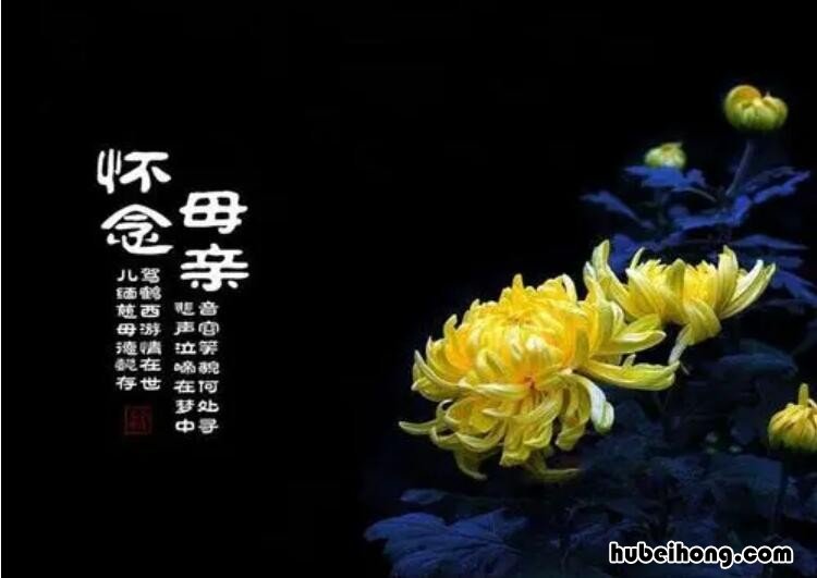 怀念在天堂去世的母亲的话有哪些 怀念天堂的母亲流泪的照片