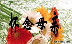 怀念逝去妈妈的话有哪些 女儿思念亡母的句子